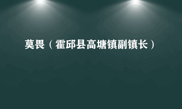 莫畏（霍邱县高塘镇副镇长）