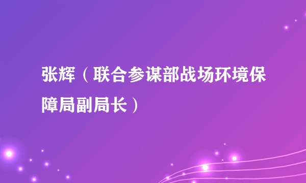 张辉（联合参谋部战场环境保障局副局长）