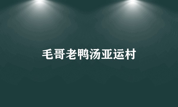 毛哥老鸭汤亚运村