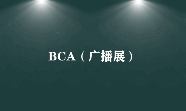 BCA（广播展）
