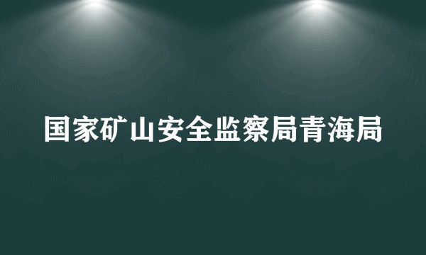 国家矿山安全监察局青海局