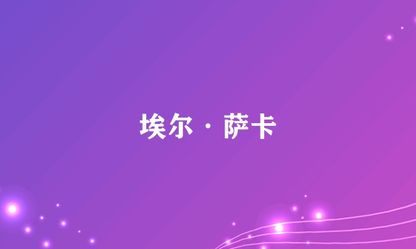 埃尔·萨卡