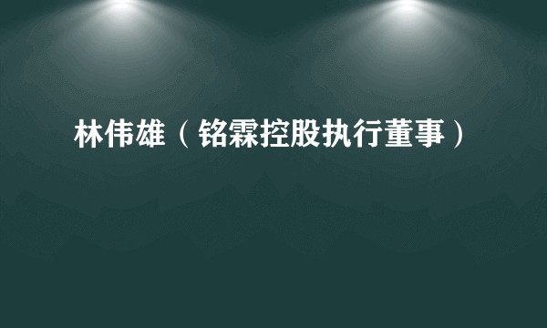 林伟雄（铭霖控股执行董事）