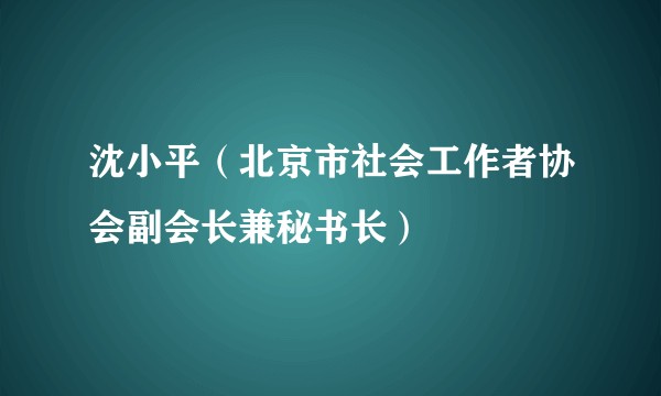 沈小平（北京市社会工作者协会副会长兼秘书长）