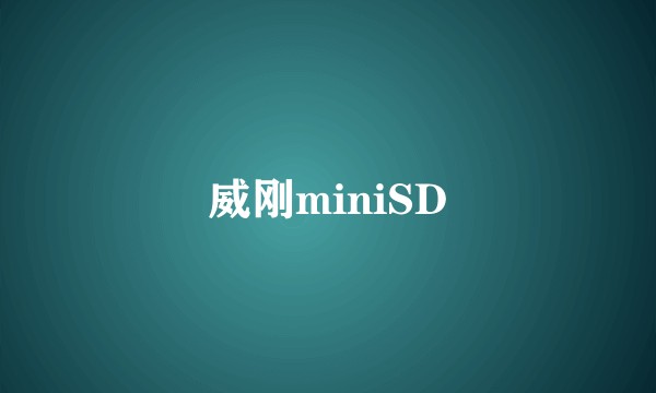 威刚miniSD