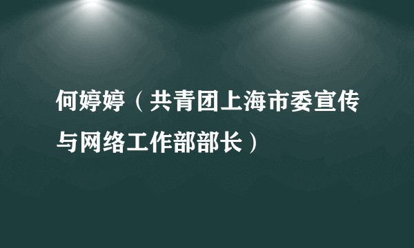 何婷婷（共青团上海市委宣传与网络工作部部长）