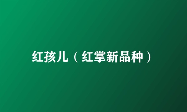 红孩儿（红掌新品种）