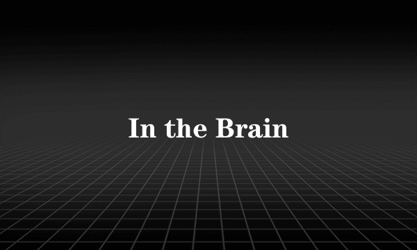 In the Brain