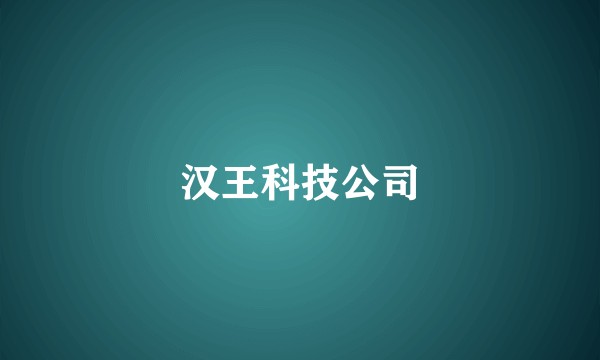 汉王科技公司