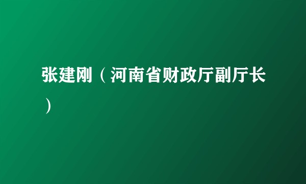 张建刚（河南省财政厅副厅长）
