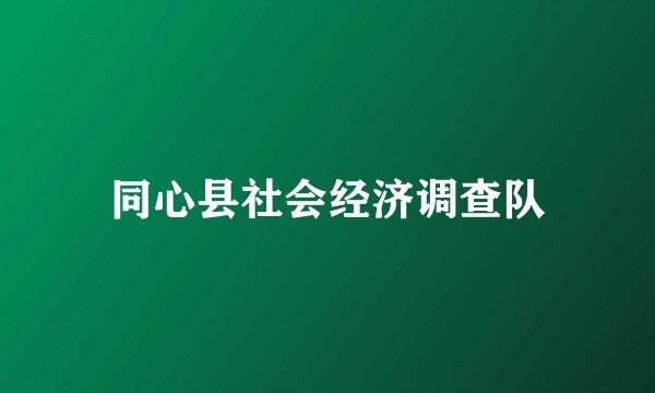 同心县社会经济调查队