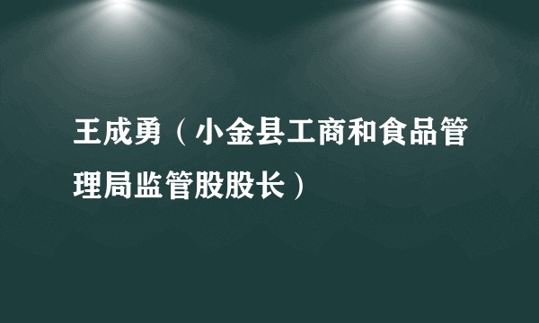 王成勇（小金县工商和食品管理局监管股股长）
