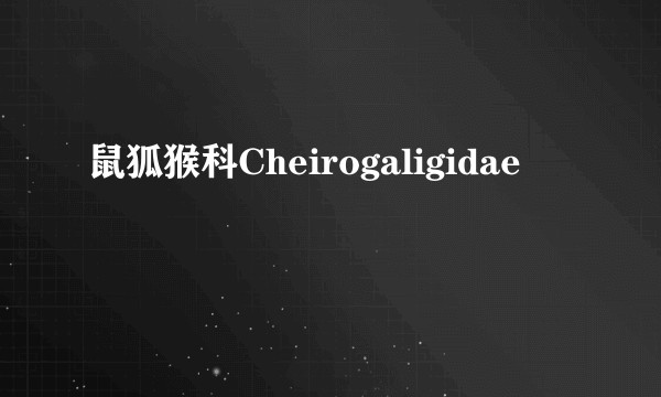 鼠狐猴科Cheirogaligidae