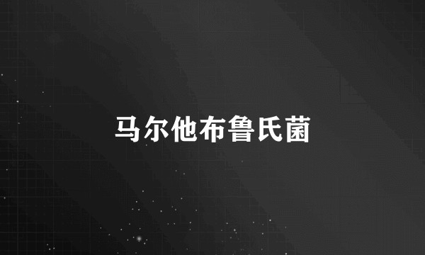 马尔他布鲁氏菌