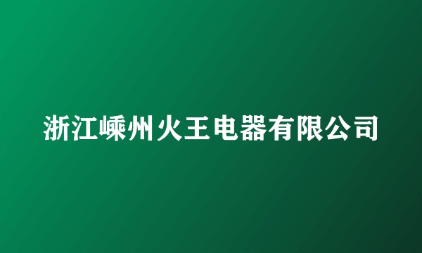 浙江嵊州火王电器有限公司