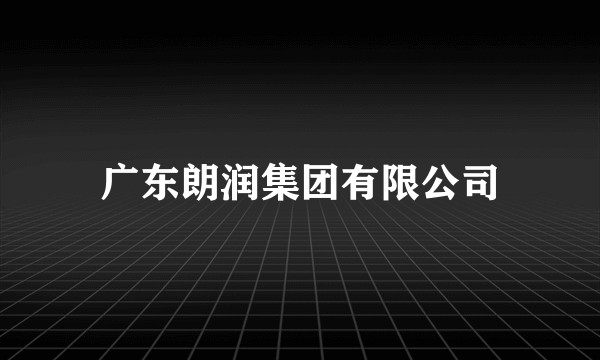 广东朗润集团有限公司
