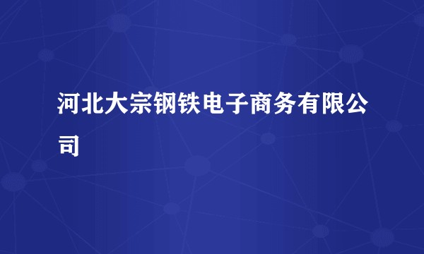 河北大宗钢铁电子商务有限公司