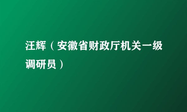 汪辉（安徽省财政厅机关一级调研员）
