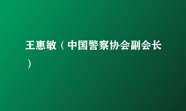 王惠敏（中国警察协会副会长）
