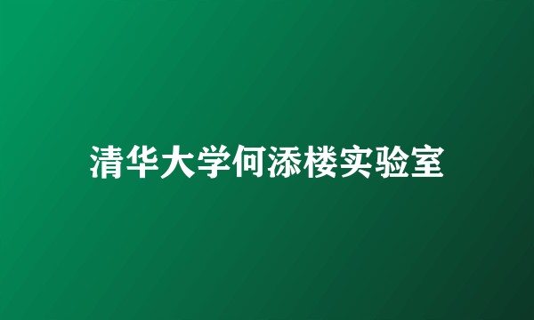 清华大学何添楼实验室