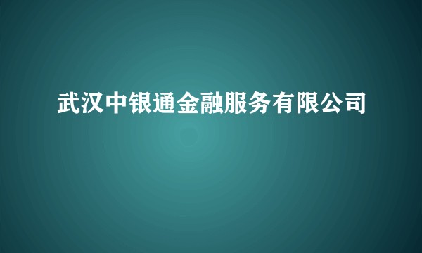 武汉中银通金融服务有限公司