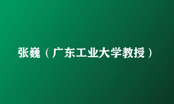 张巍（广东工业大学教授）