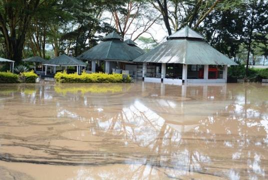2020年肯尼亚洪灾