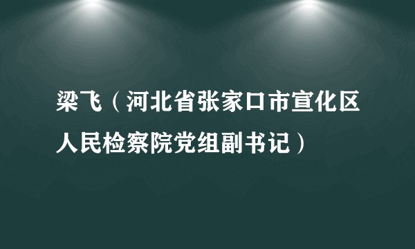 梁飞（河北省张家口市宣化区人民检察院党组副书记）