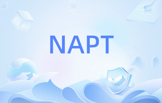 NAPT（网络端口地址转换）