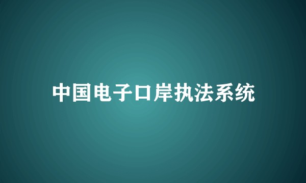 中国电子口岸执法系统