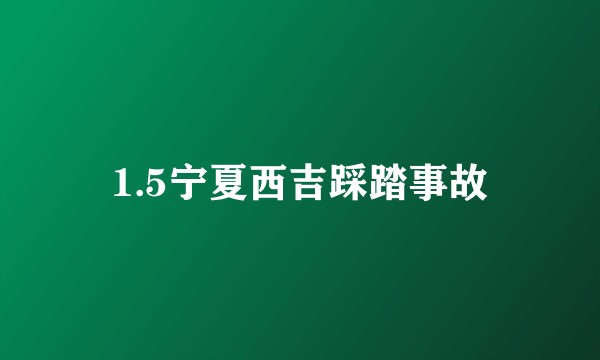 1.5宁夏西吉踩踏事故