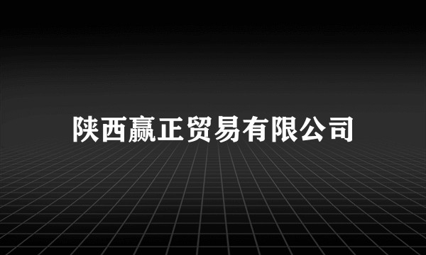 陕西赢正贸易有限公司