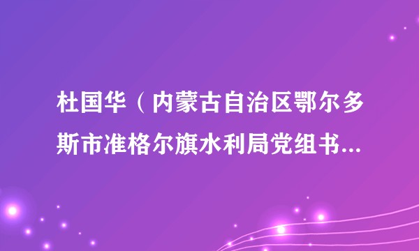 杜国华（内蒙古自治区鄂尔多斯市准格尔旗水利局党组书记、局长）