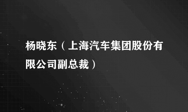 杨晓东（上海汽车集团股份有限公司副总裁）