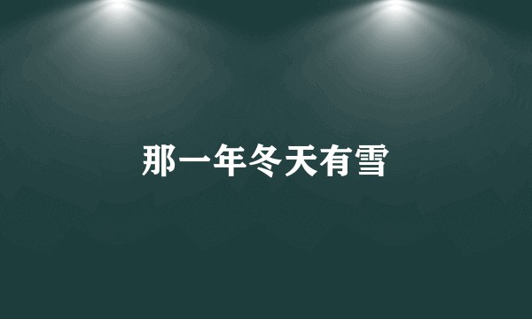 那一年冬天有雪