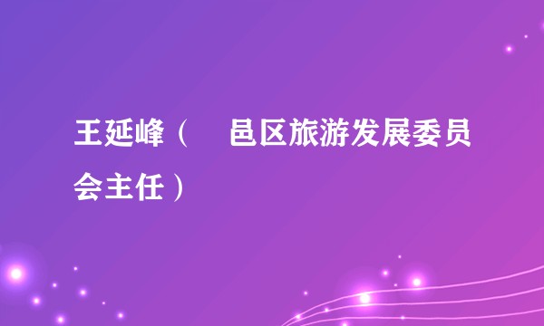 王延峰（鄠邑区旅游发展委员会主任）