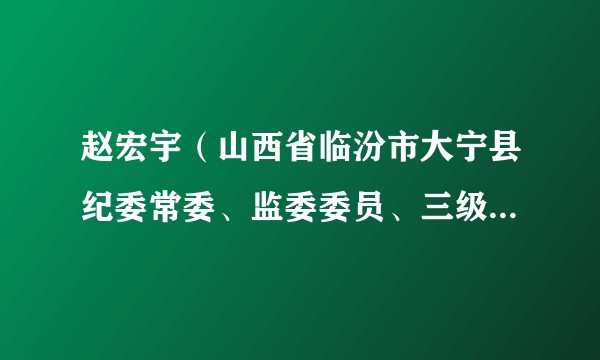 赵宏宇（山西省临汾市大宁县纪委常委、监委委员、三级主任科员）