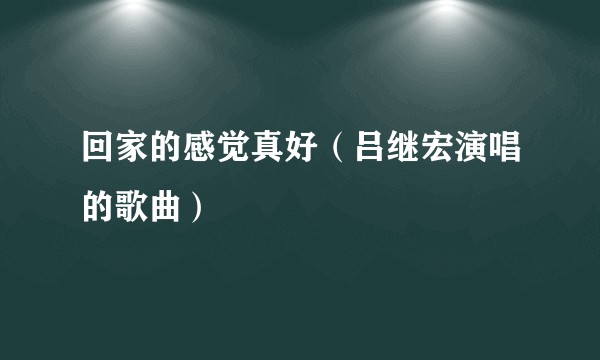 回家的感觉真好（吕继宏演唱的歌曲）