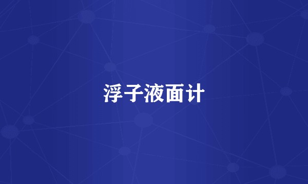 浮子液面计