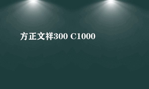 方正文祥300 C1000