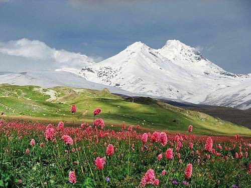 西高加索山保护区