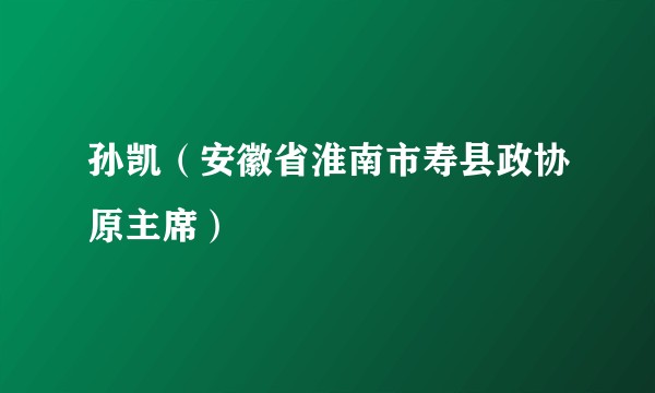 孙凯（安徽省淮南市寿县政协原主席）