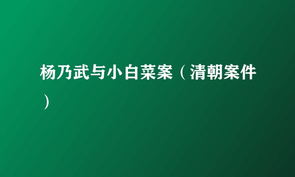 杨乃武与小白菜案（清朝案件）