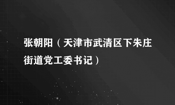 张朝阳（天津市武清区下朱庄街道党工委书记）