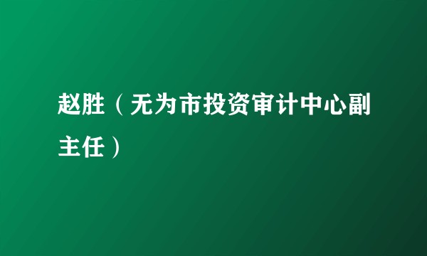 赵胜（无为市投资审计中心副主任）