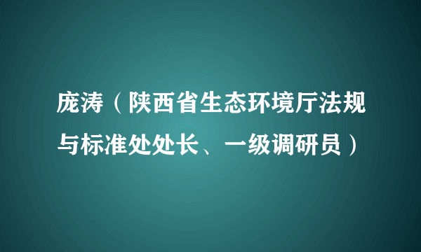 庞涛（陕西省生态环境厅法规与标准处处长、一级调研员）
