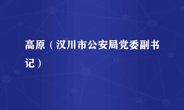 高原（汉川市公安局党委副书记）