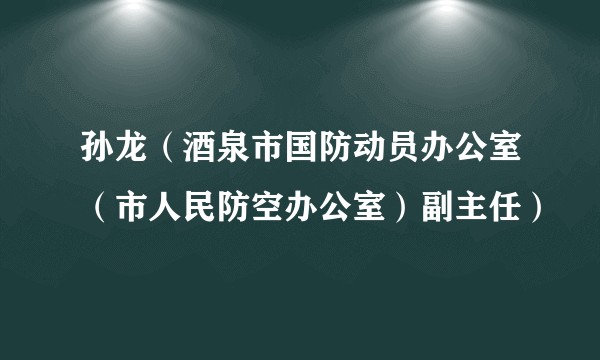 孙龙（酒泉市国防动员办公室（市人民防空办公室）副主任）