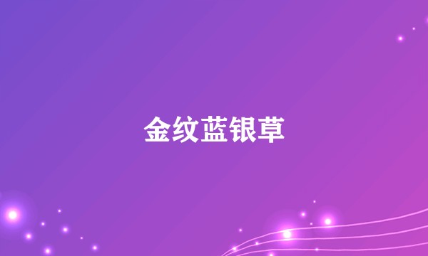 金纹蓝银草