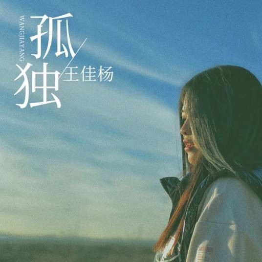 孤独（2019年王佳杨演唱歌曲）